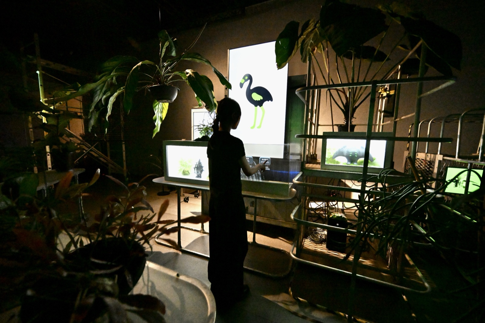 自造自然-未來生態藝術光影展作品圖片 4